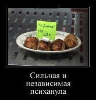 Котовсячина