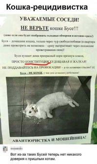 Вот из-за таких Бусей теперь нет никакого доверия конституции