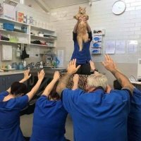 В эту секту я бы вступил.