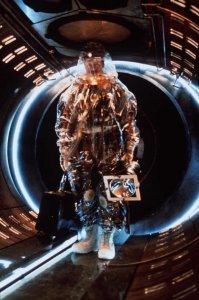 Поход в магазин за туалетной бумагой: