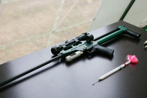 Женщина устроила дебош в администрации поселка