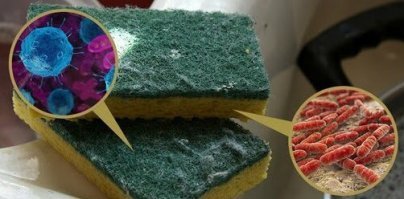 Очисткой губки в микроволновке заниматься это вообще маразм, менять их надо чаще а не этой хернёй заниматься.