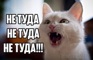 Пользователи поделились вещами, которые никогда не поймут современные дети