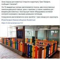 Где то в параллельной вселенной