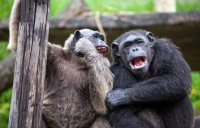 День спустя.