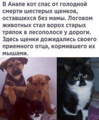 15 примеров того, что мамы - это призвание