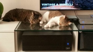 Мои янь инь, третяя хз знает куда спряталась.