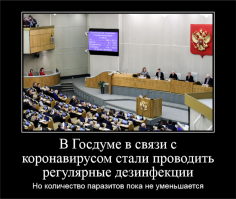 Власти Москвы ввели свободное посещение школ из-за коронавируса