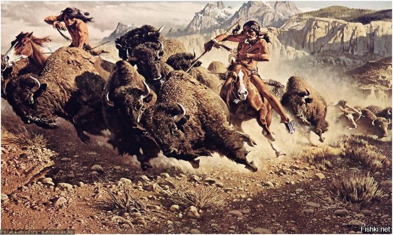 Забойщик бизонов, США, 1870–е