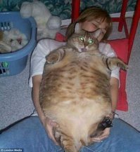 Что есть, то есть!