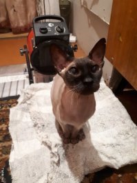 Да? Скорее, выложивший немного тормознул...   )