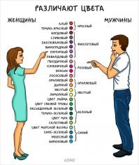 ТОП-10: Факты о цветах, в которых мы все ошибаемся