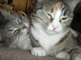 всё хорошо, не переживай