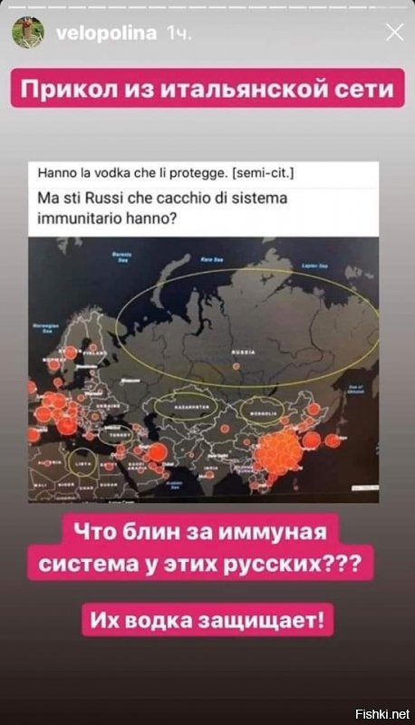 Политические комментарии из инета