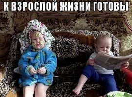 Прикольные и смешные картинки