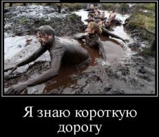 Прикольные и смешные картинки