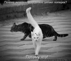 Фотографии, нарыто в сети