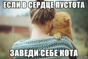 18 картинок, еще раз доказывающих, что кошки - милейшие создания на планете!