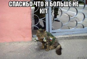 Шесть лет крымскому референдуму: Крым — Россия, навсегда!