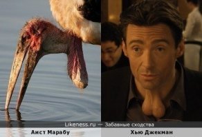 Прикольные и смешные картинки