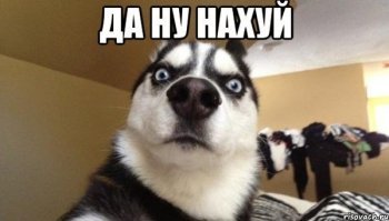 Мир в труху, они гуляют: свадьбы на фоне апокалипсиса