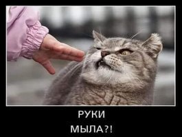 Ну здравствуй, вирус: как люди поддаются панике и сметают с полок... всё!