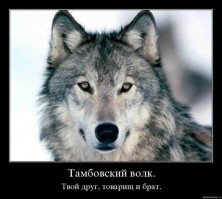 Гигантский волк  держал в страхе целую деревню