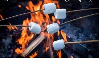 Это они чего ? Пенопласт жарят ?