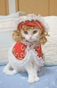 15 домашних питомцев, у которых хозяева те ещё шутники