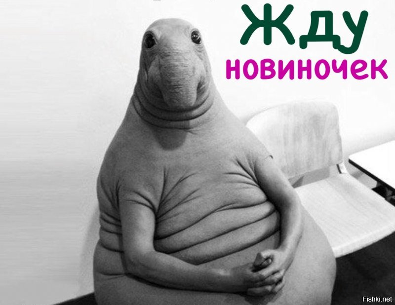 Солянка от 17.03.2020