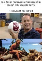 Смешные картинки из соц сетей