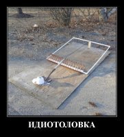 Старконь, ты, как ни странно, сюда не попал...