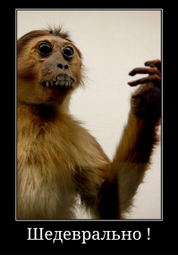 Тот случай, когда таксидермия — это не твоё призвание