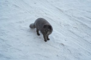 Одним словом -