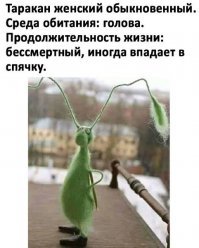 «Все мужики — сволочи. Даже твой». Что такое современные феминистки