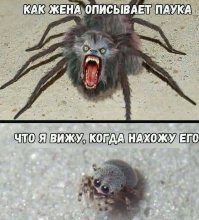 Комары и клещи готовятся к атаке: как стать для них «невкусными»?