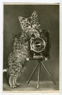 Открытки СССР 1952 и 1957 годов.