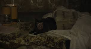 22 доказательства того, что средневековые художники не умели рисовать кошек