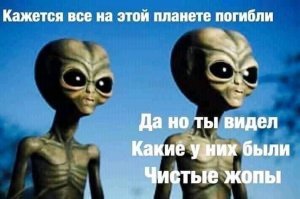 Как должны выглядеть сайты знакомств в эпоху карантина