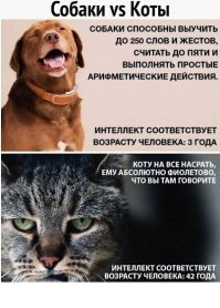 Не благодарите.