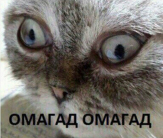 "Помогает, как ни странно! Новых случаев за сутки нет (возможно, обновят попозже)." Серьезно?