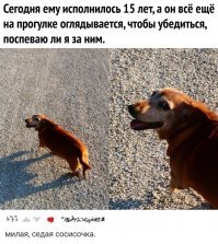 Нашей 17 лет будет через 5 месяцев, тоже вся седая....