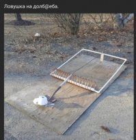 На американской торговой площадке появилась старая советская туалетная бумага по цене 18$ за рулон