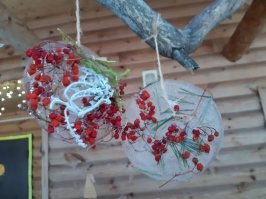 Кстати, да, хорошая идея. Когда нибудь применю на практике , когда будут внуки или внук и перееду в свой дом с участком в деревне (пока ничего там не делал, таки и стоит со старинной избой ). 
Для начала надо посадить ЕЛКУ , а то сосны есть, береза есть... а елки нету...