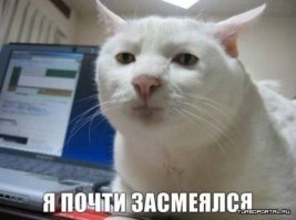 Компании, чьи акции рухнули больше всех за месяц