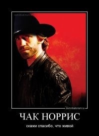 немного фактов о Чаке Норрисе