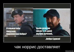 немного фактов о Чаке Норрисе