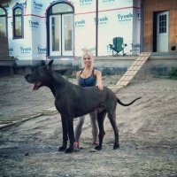 Если очень внимательно присмотреться, то на фото можно увидеть собаку!