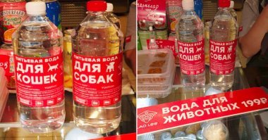Ладно вам, детская.. Вот шедевр!