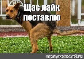 То, что многие никогда не поймут: странное искусство и еда